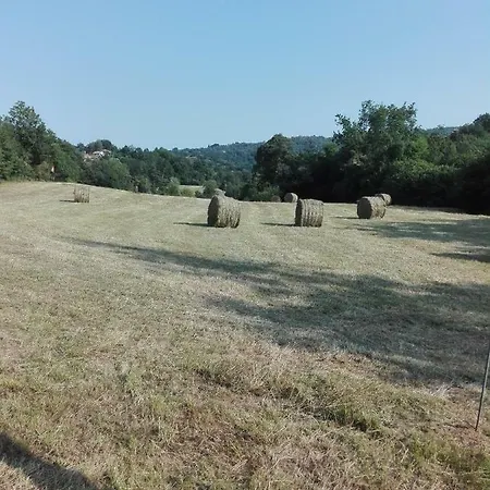 Gli Angeli * Netro